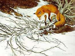 Amazon.com: Bev Doolittle - Missed: Posters & Prints